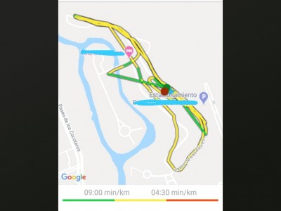 Elena  Tinajero Torres