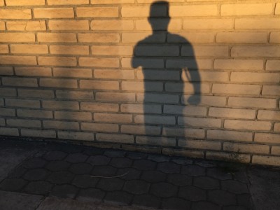 JOSE LUIS  PEREZ HERMANDEZ