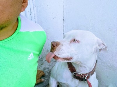 Juan González Bello