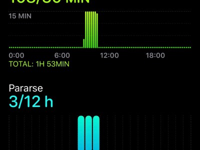 Guadalupe  Ruiz Barragan 