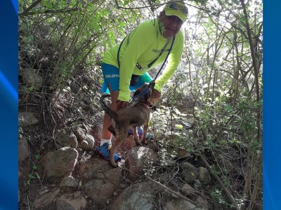 Tello Santiago Ramírez