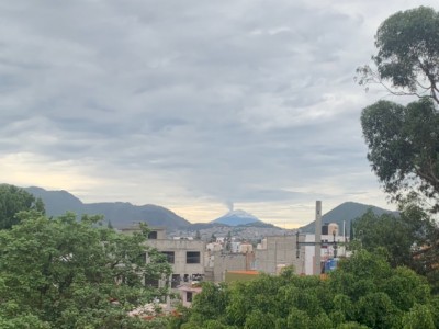 Juan  Ortega Martínez