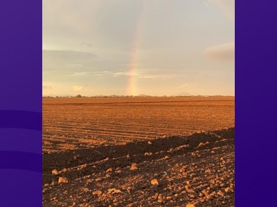 perla del carmen valencia solis