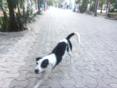 Abraham  Marquez Cabrera