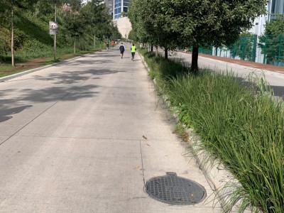 Marisol alcantara  chavarria