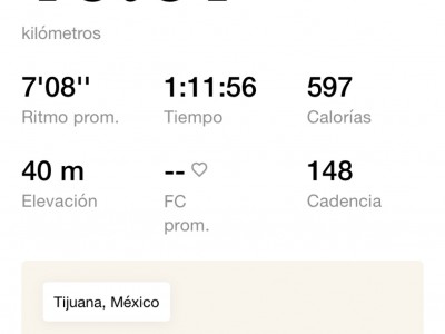 Maribel  Fernandez Santiago