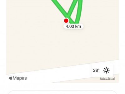 Maribel  Fernandez Santiago