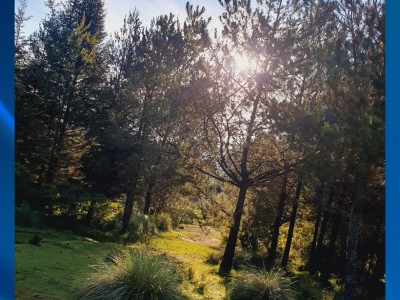 Uriel Tabaco Conzuelo