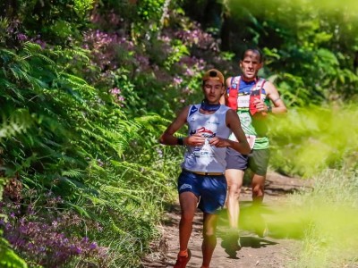 Aarón Felipe Hernández