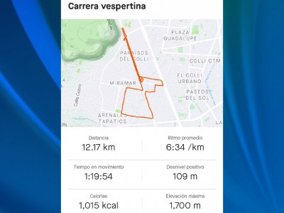 Carlos Octavio  Juárez Ruelas 