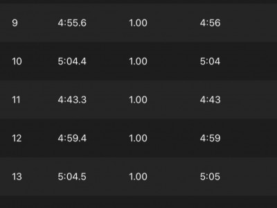 Francisco Cobos Mendez 