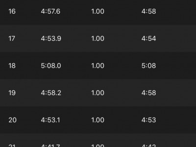 Francisco Cobos Mendez 