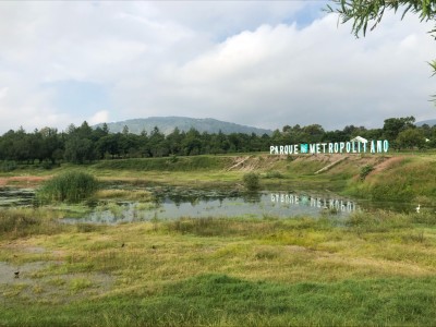 Alejandra  Cortes Coronel 