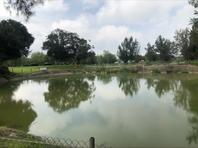 Alejandra  Cortes Coronel 