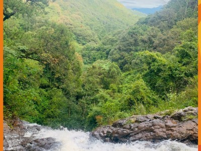 Marcos  Davila Romero