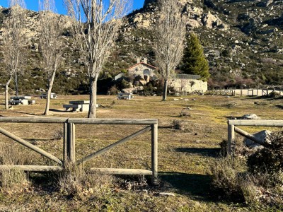 RAQUEL CHAMON  DE ALBA