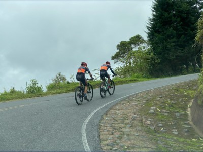 José David Rojas Quesada