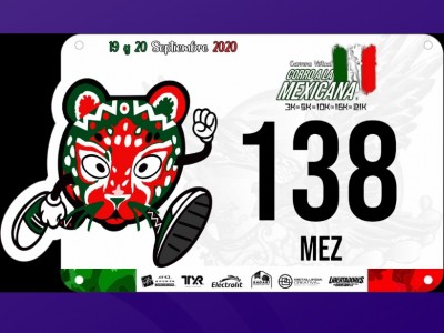 Alma Patricia  Martínez Hernández 