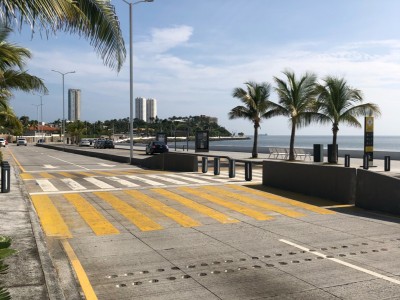 Mario Manuel Canales Suárez