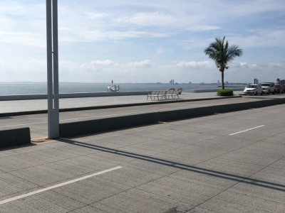 Mario Manuel Canales Suárez