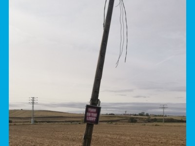 Fernando  Peláez González