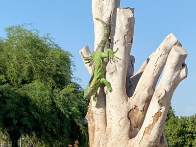 JOSÉ LUIS OSEGUEDA OSEGUEDA