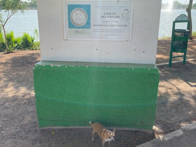 JOSÉ LUIS OSEGUEDA OSEGUEDA