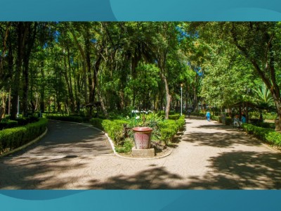 Luis Emilio Tejada Hermon