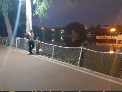 alma rosa viera servin