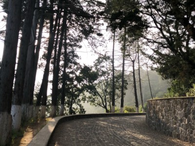 Martha Lizeth  Hernandez Pahua 