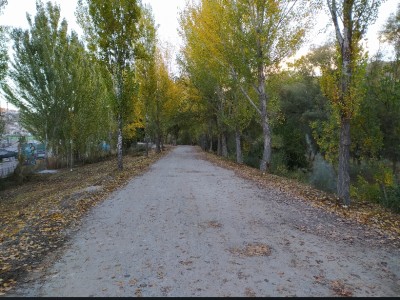 javier lopez del amo