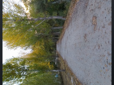 javier lopez del amo