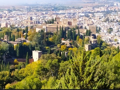 javier lopez del amo