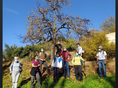 javier lopez del amo