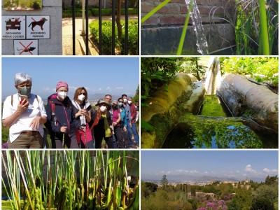 javier lopez del amo