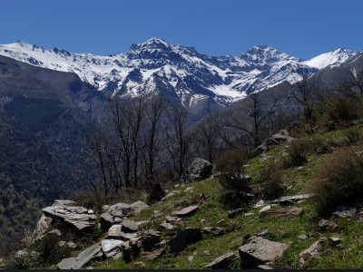 javier lopez del amo