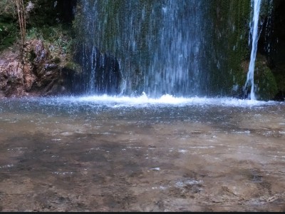 javier lopez del amo