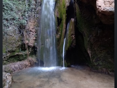 javier lopez del amo