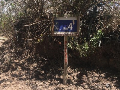 CESAR ERWIN ZAPATA GUIJARRO