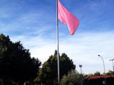 Rosario  Quesada Ramirez