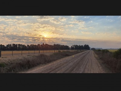 julio Roman buzatto angel