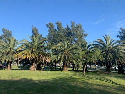 Monica Adriana  Onetto