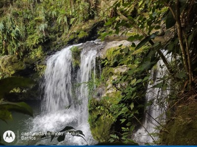 Marcos Manuel Barrios Molina