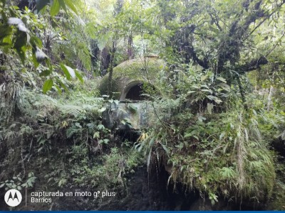 Marcos Manuel Barrios Molina