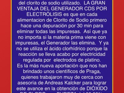 Nelva Patricia Chi Silveira