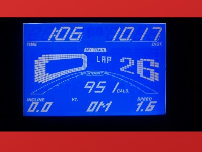 Nelva Patricia Chi Silveira