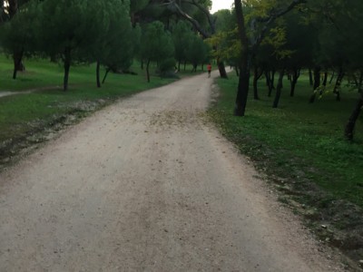 Patricia  Torres-Muñoz