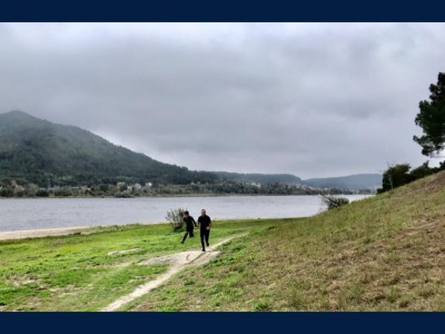 Francisco y Lois Montenegro 