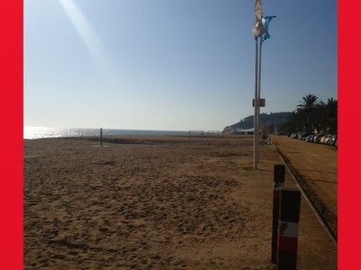 Adrian  Roses Maldonado 