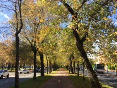 Mercedes Maestu Agudiño